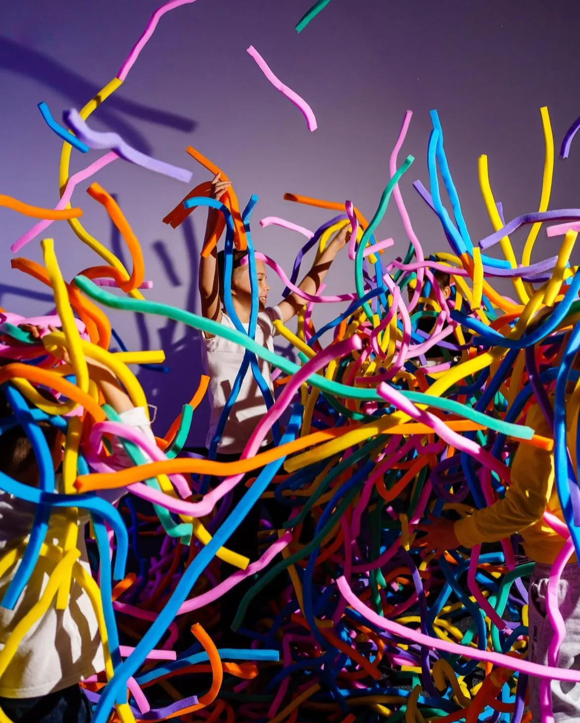 Поролоновое палка-шоу